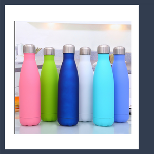 PASTEL GENIOWORLD INSULATED STAINLESS STEEL WATER BOTTLE 500ML